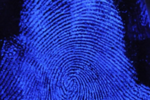 Luminol at the crime scene