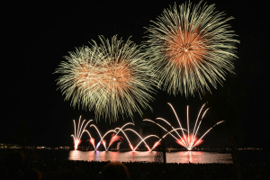 I fuochi d’artificio sono giganteschi saggi alla fiamma